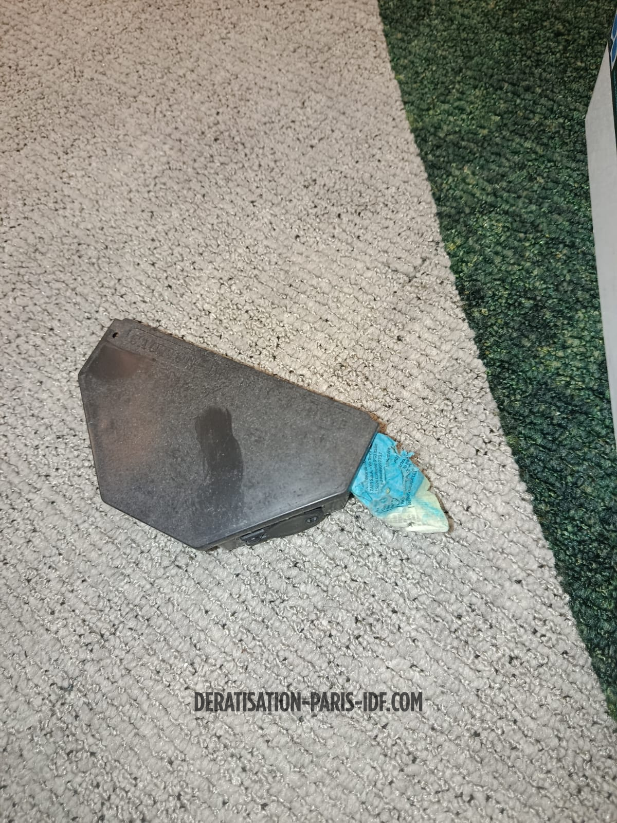 Intervention de dératisation dans un bureau à Paris