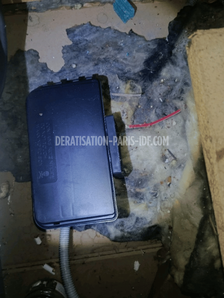 Intervention de dératisation dans un comble à Paris, photo 4
